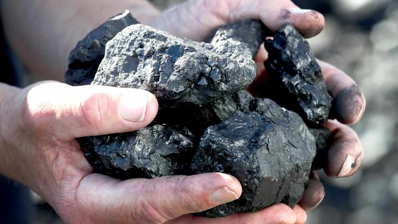 Pieces of coal.
