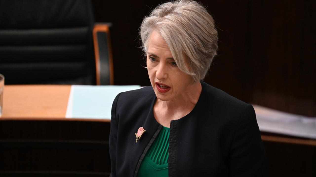 Tasmanian Greens Leader Rosalie Woodruff