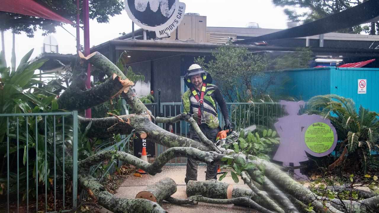 Workers remove a fallen tree from Muddy’s Playground in Cairns.