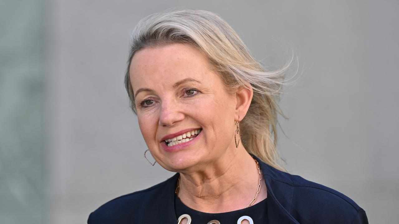 Sussan Ley (file image)