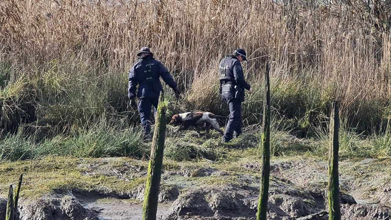 A specialist cadaver dog and police during the search (file image)
