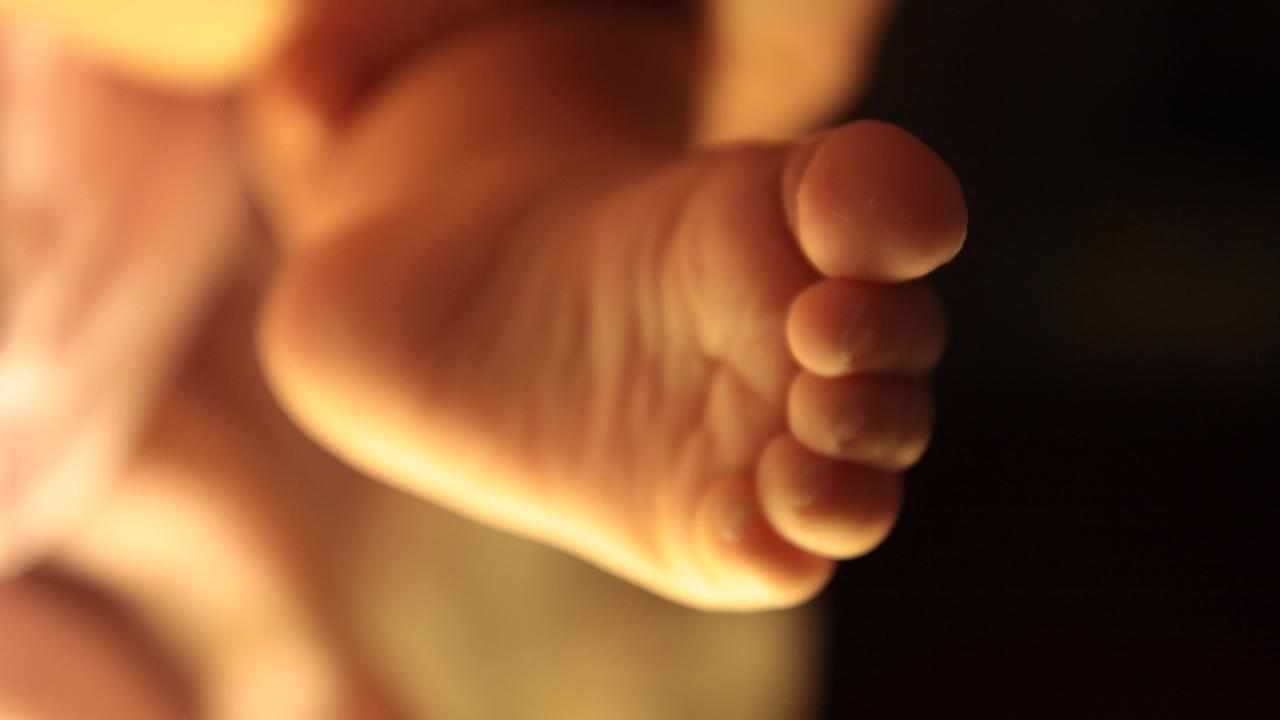 A newborn baby's foot