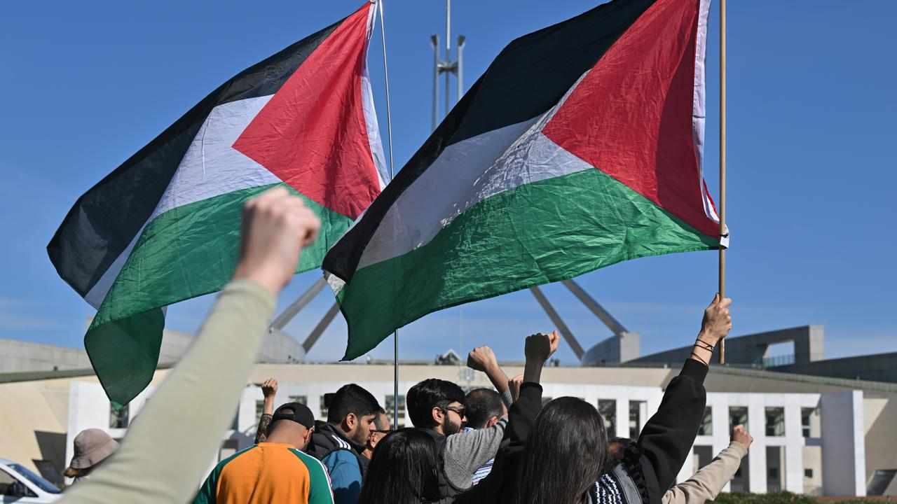 Supporters hold flags at a pro-Palestine rally