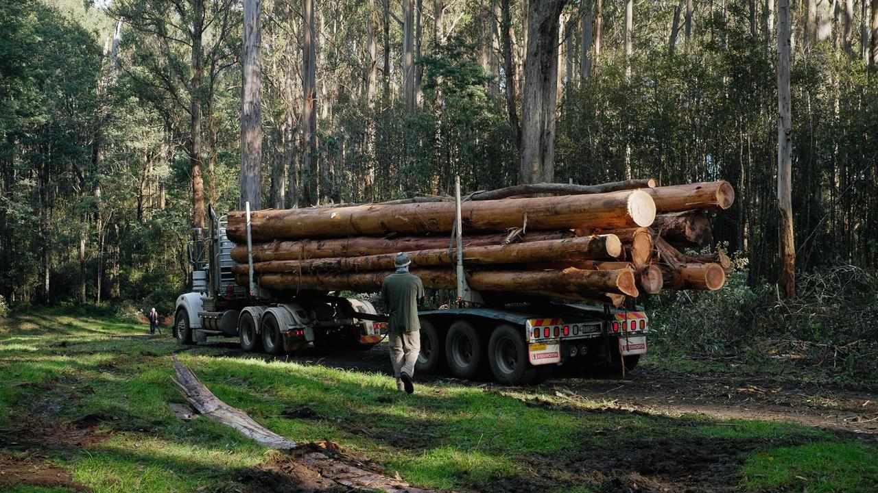 A a logging truck in the Yarra Ranges National Park