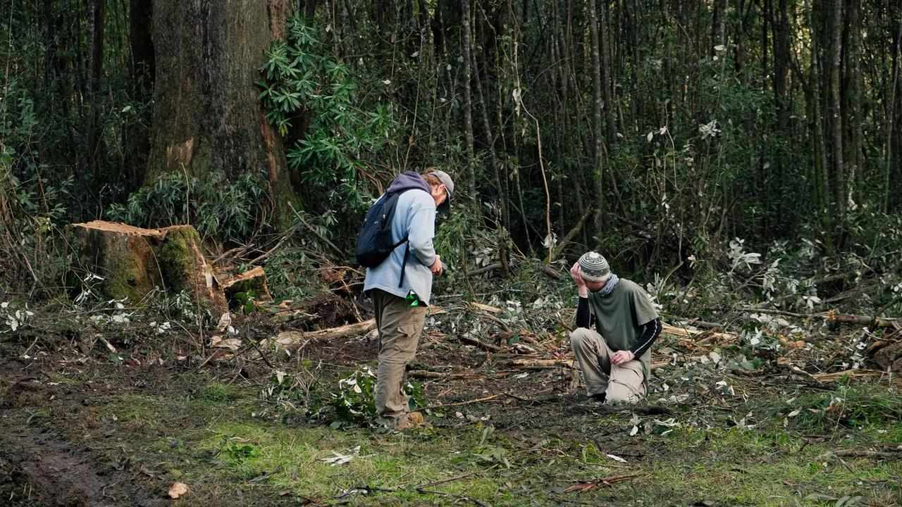 Conservationists in the Yarra Ranges National Park.