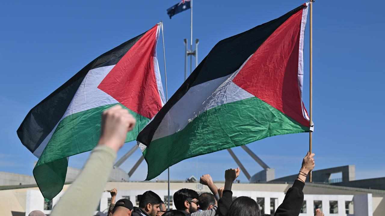 Supporters at a pro-Palestine rally outside Parliament House