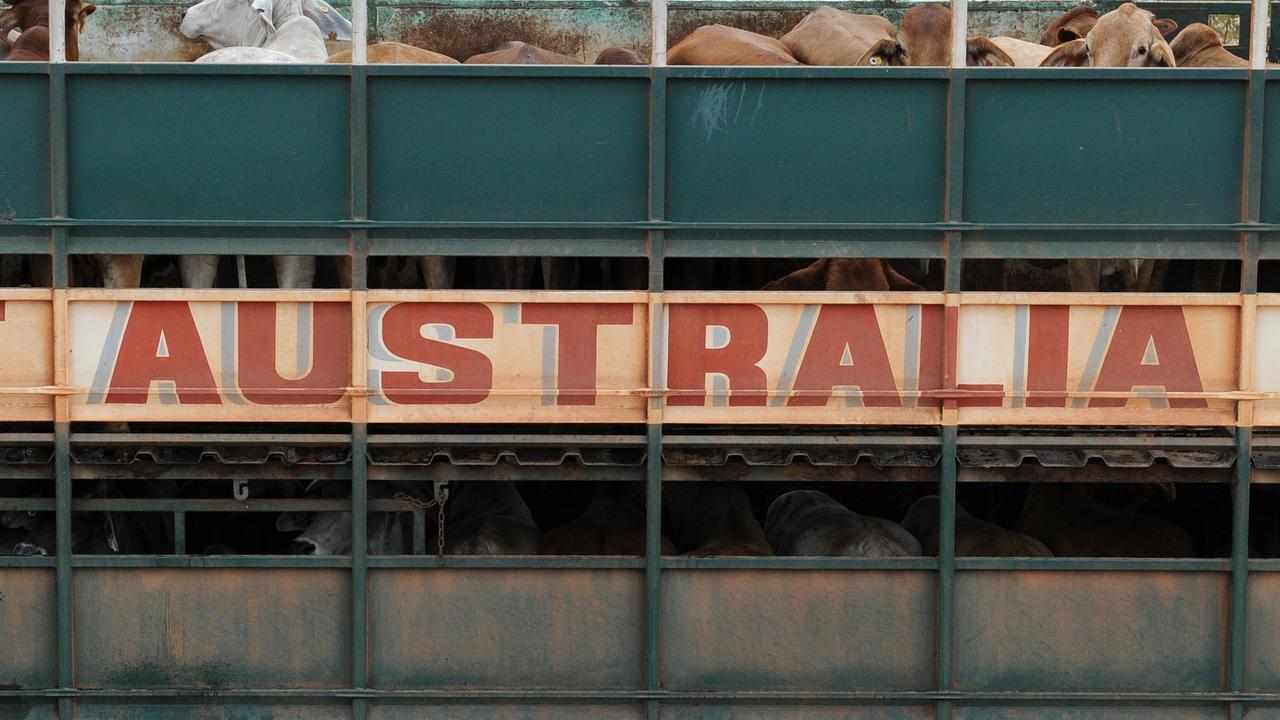 China lifts Australian beef restrictions