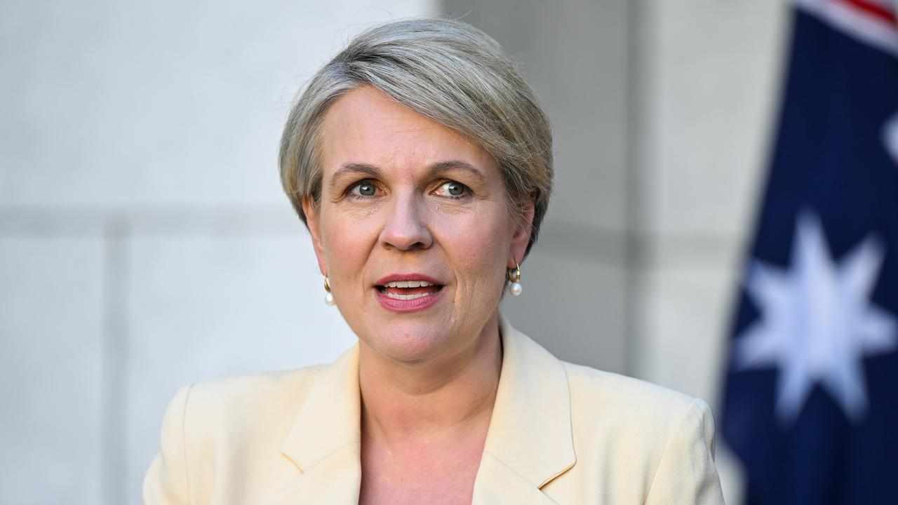 Environment Minister Tanya Plibersek (file image)