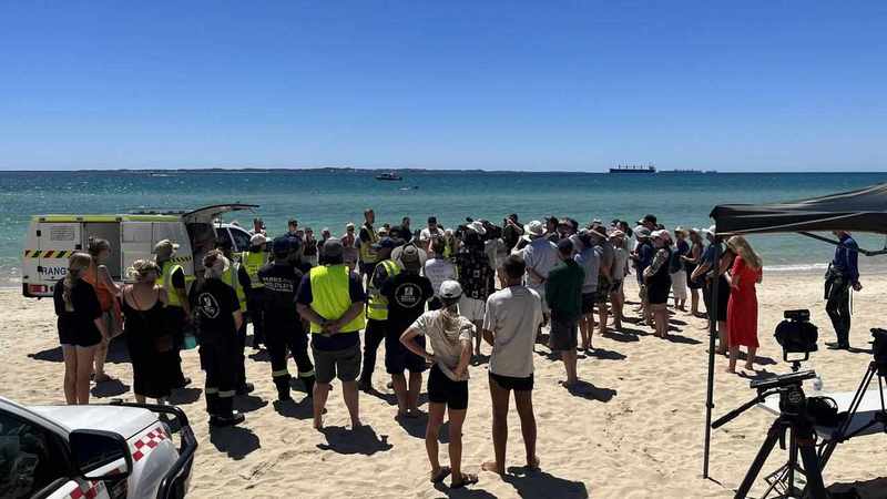 Stranded 30-tonne sperm whale dies at WA beach