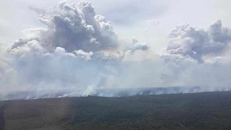 Rain brings relief to NSW fire grounds but risk remains