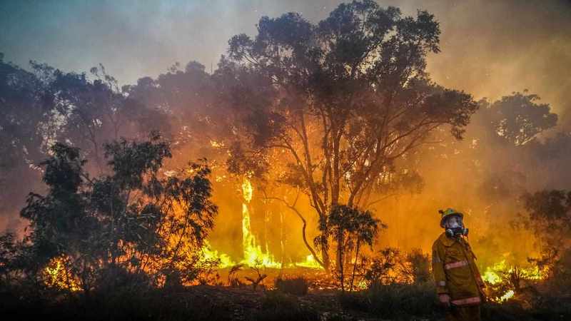 Homes lost and firefighters injured as bushfires rage