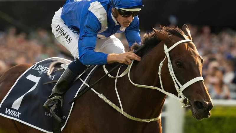 Winx filly sells for world record $10m