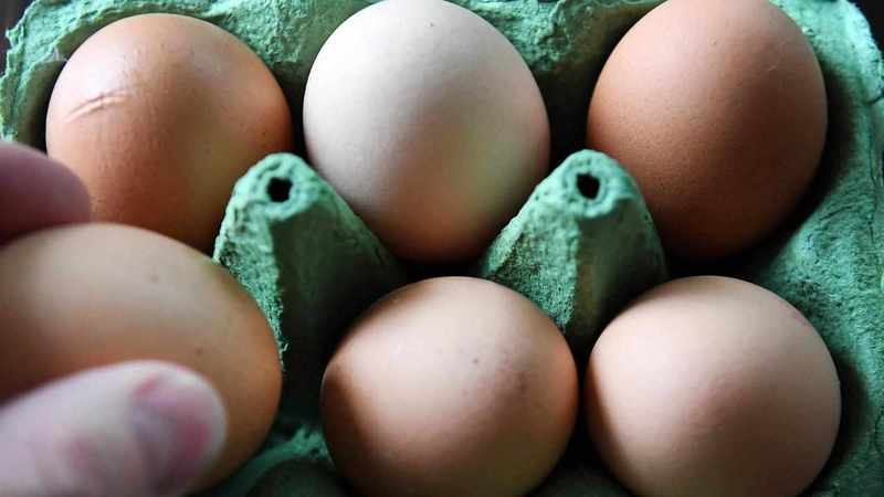 Fears people will crack as Coles imposes egg limits