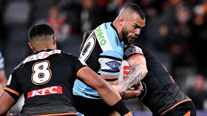 Bruised Shark Rudolf desperate to match it with Collins