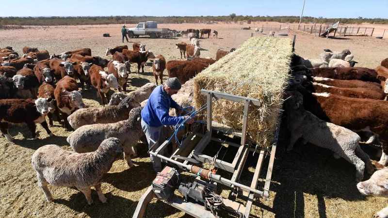 Low-interest loans for farmers as drought grips NSW