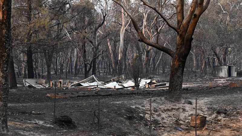 Rain set to assist as bushfires continue to burn