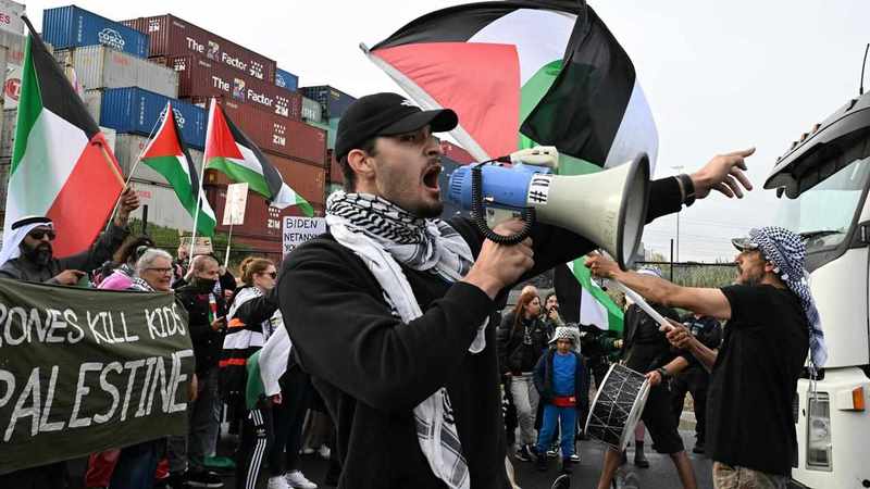 'Professionals' blamed for pro-Palestine protest clash